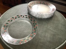 9 Arcoroc Holly, Berries