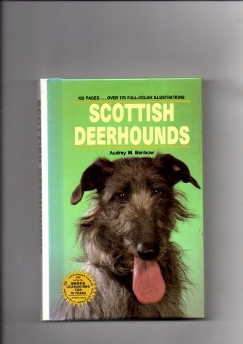 Scottish deerhounds dog - (kw,