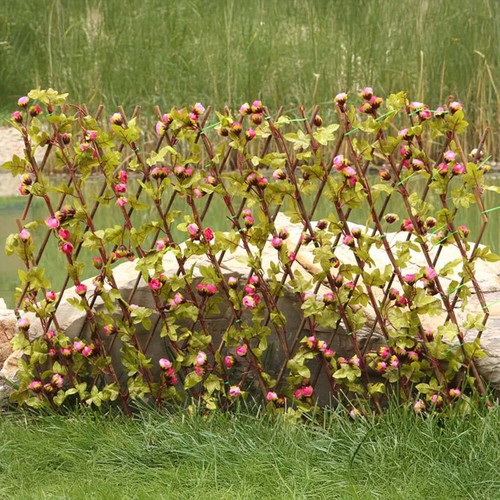 Garden screening trellis - screening,