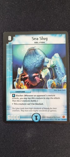 Sea slug 21 55 - sea,