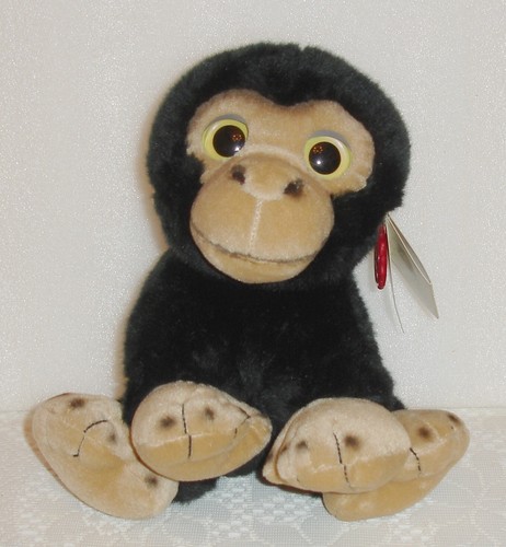 Monkey baby chimp - baby,