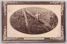 Wanstead Park Child Sitting on