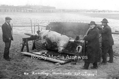 Mno social history ox - mno-61,