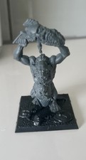 Night Goblin Troll Battle for