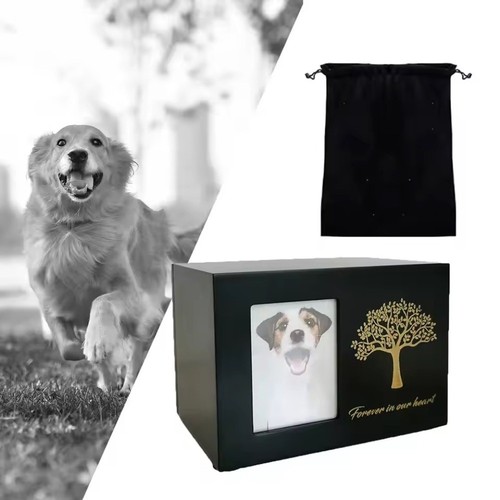 Pet cremation urn for - urn, dogs
