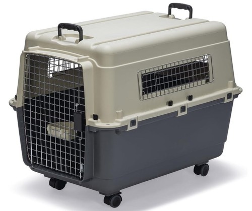 Karlie transport box in - xl-,