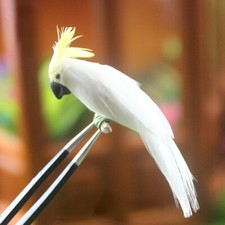 1:12th Scale Dolls House