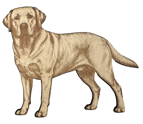 Wood labrador retriever - wood,