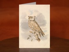 Scops Owl by Samuel Howitt - A5 Art Print Greeting Card