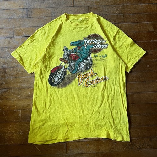 Harley davidson beach cruiser - beach,