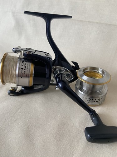 Daiwa caldia 2500 1st series - daiwa,
