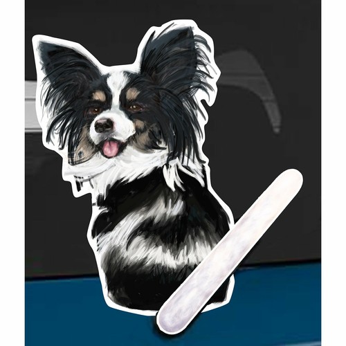 Papillon dog rear car window - dog,