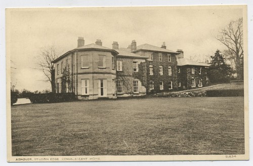 Stubbin edge convalescent - edge,