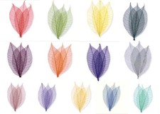 SHOP CLEARANCE SALE Skeleton Leave Assorted Colours, Sizes NOW £1 Your Choice