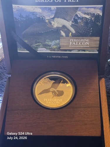 2013 nuie birds prey - 2013,