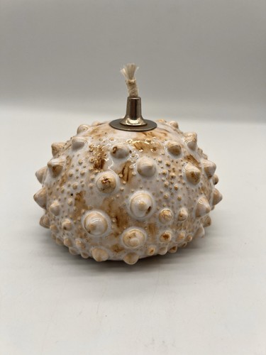 Pier ceramic sea - pier, urchin