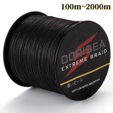 Dorisea 100m 2000m - dorisea, 100m-2000m