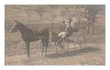 Postcard RPPC Couple Horse and