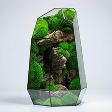 Geometric terrarium prism - geometric,