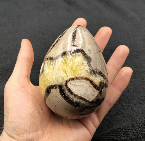 Large septarian egg yellow - septarian,