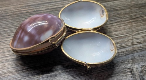 Vintage shell trinket - , box