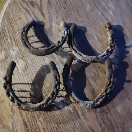 Rustic horseshoes antique - horseshoes,