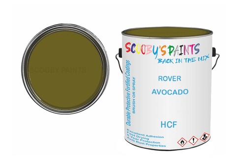 Classic paint for triumph - for,