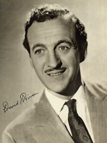 David niven signed photograph - david,