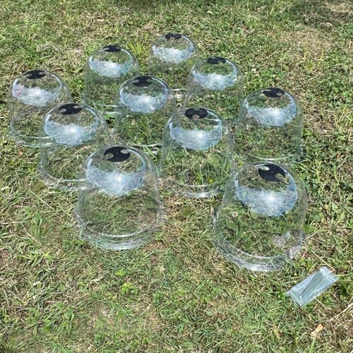 Plastic plant protection bell - plastic,