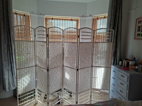 Room divider screen - room,
