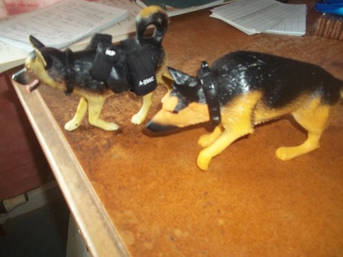 Dogs accessories to action - 2, x