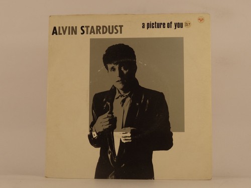 Alvin stardust picture - alvin,
