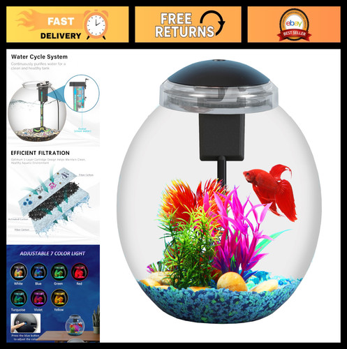 Gallon fish tank starter kit - fish,