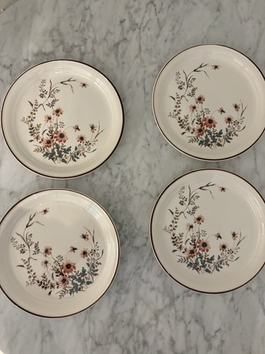 Arklow vintage plate set side - vintage,