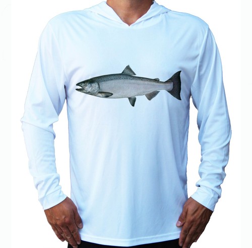 Chinook salmon fish - salmon,