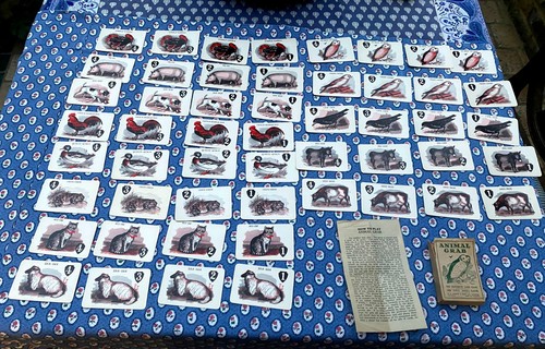 Antique animal grab - card, game