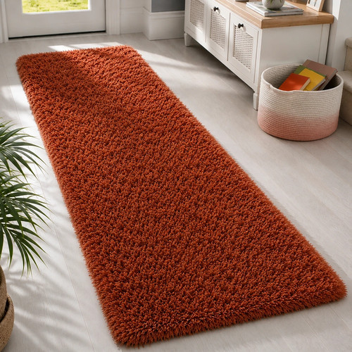 Long hallway runner rug - hallway,