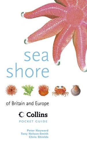 Collins pocket guide - -, sea