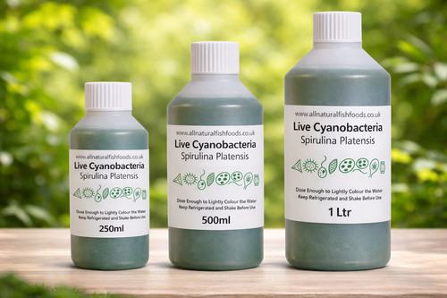 1ltr live spirulina culture - -,