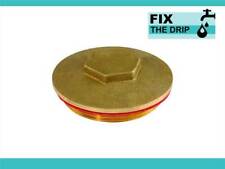 FtD 2.1/4" BRASS IMMERSION HEATER PLUG & WASHER