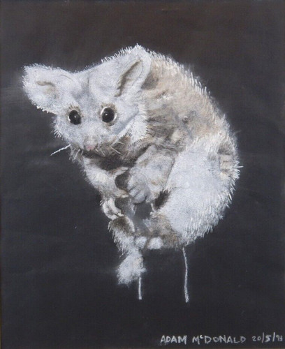 Australian pastel painting - australian,