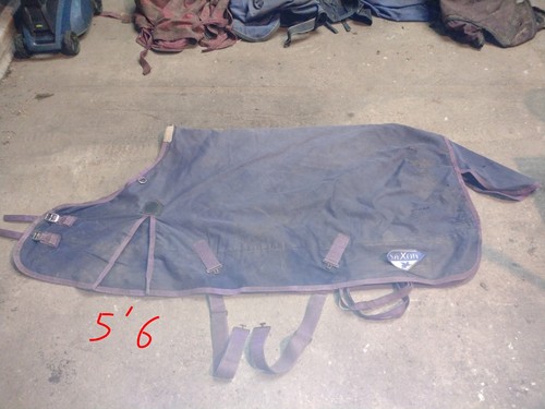 Saxon turnout rug light - saxon, 5'6