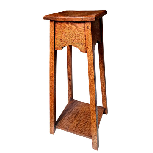Antique edwardian oak - antique, plant