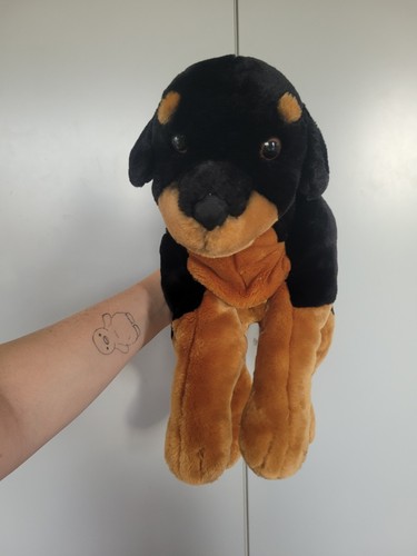 Large animal alley rottweiler - animal,