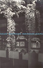 R185976 Wistaria of Kasuga Shrine and Metal Lanterns. Nara. S. Matsuyama