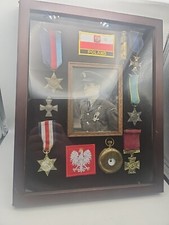 WW2 Polish army RAF group medals in frame