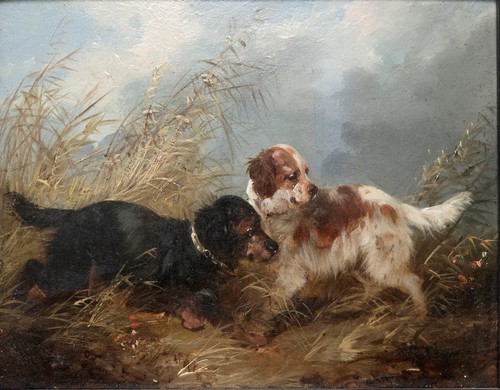 Antique armfield dogs - armfield,
