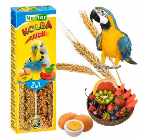 Budgie bird food small - bird,