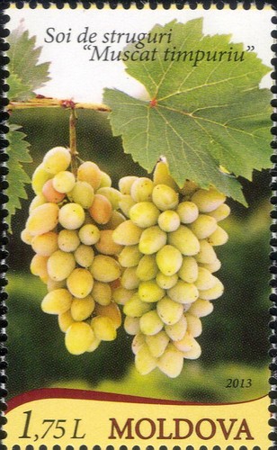 Moldova 2013