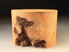 Large Hollow Form Burr Elm